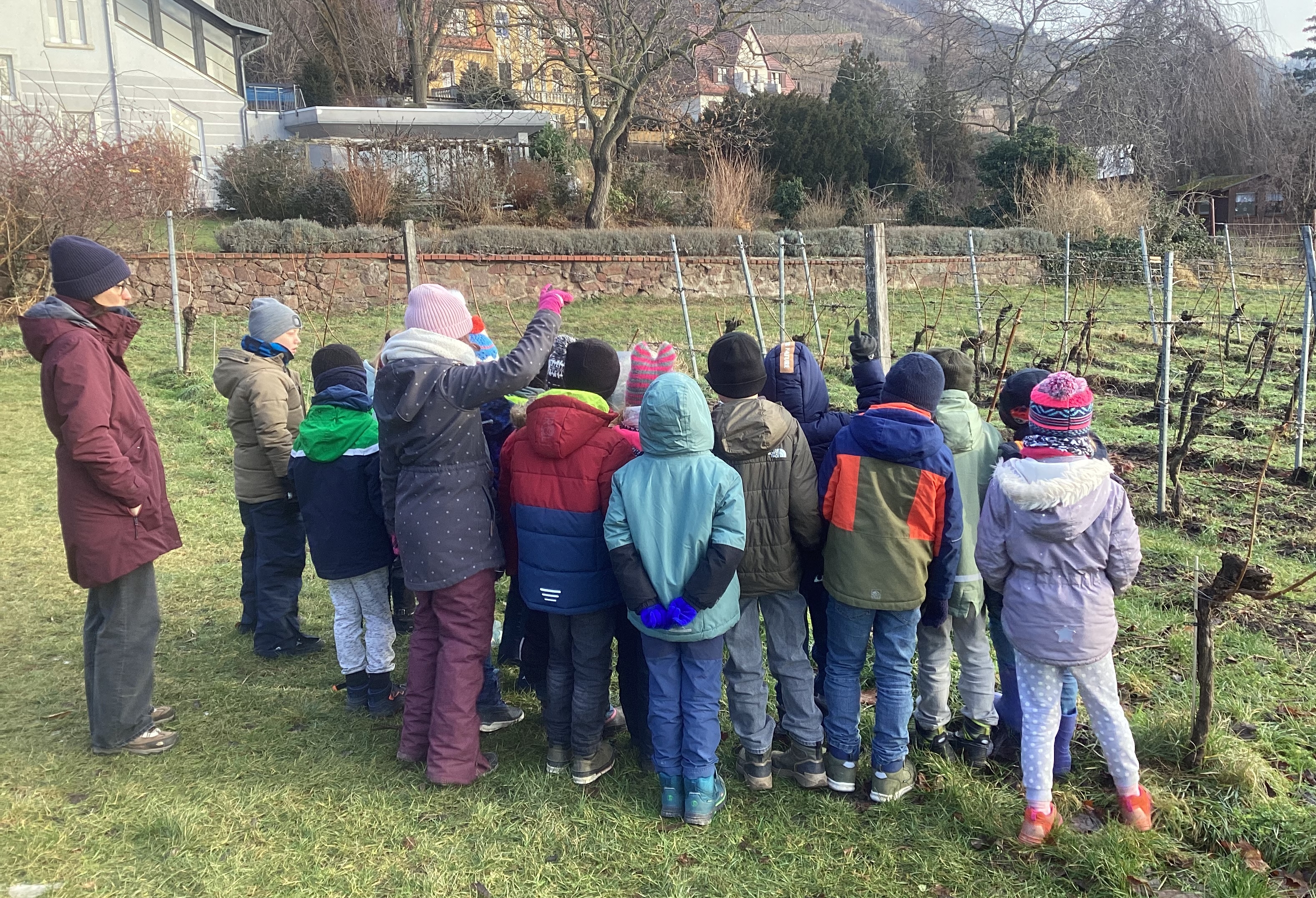 Weinbauprojekt der Klassenstufe 2