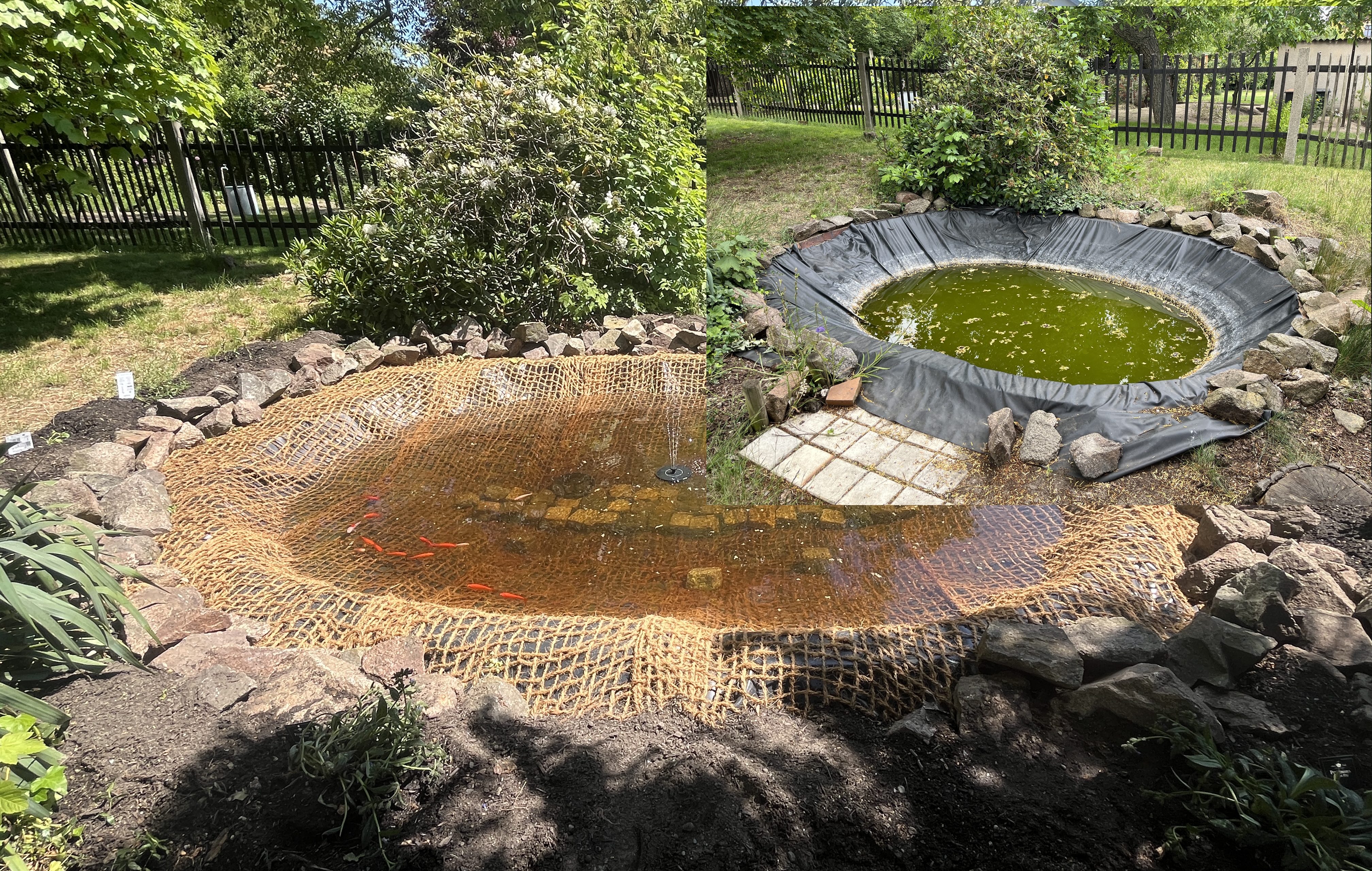 Neuer Goldfischteich im Schulgarten